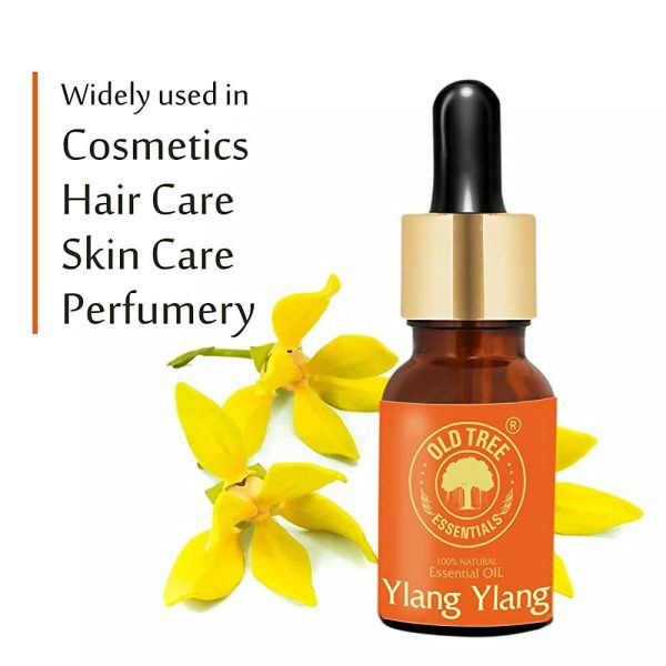 Old Tree Ylang Ylang Essential Oil For Discount