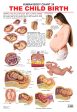 Dreamland Publications Educational Chart for Kids - The Child Birth Cheap