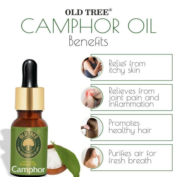 Old Tree Camphor Essential Oil Discount