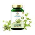 Search Wellness Hadjod Capsules Online now