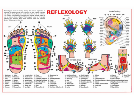 Dreamland Publications Educational Chart for Kids - Reflexology Online Sale