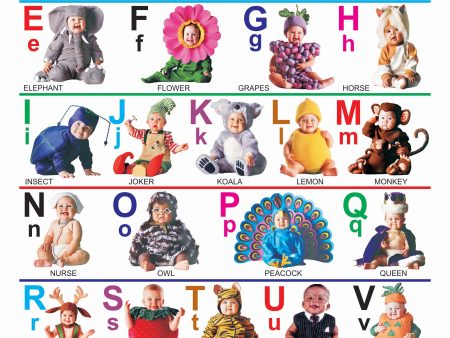 Dreamland Publications Educational Chart for Kids - Cute Alphabet For Cheap