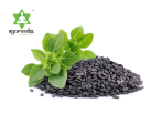 Ayurvedix Nutritious Basil Seeds For Discount