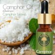 Old Tree Camphor Essential Oil Discount