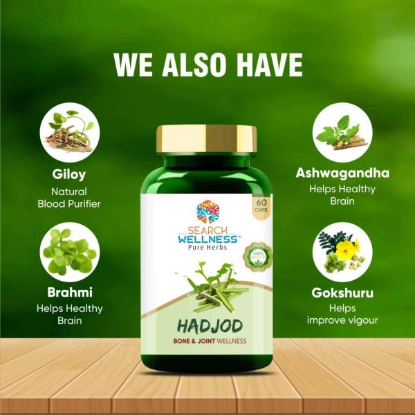 Search Wellness Hadjod Capsules Online now