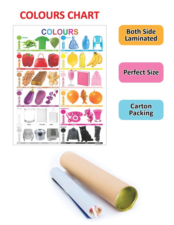 Dreamland Publications Educational Chart for Kids - Colours Discount