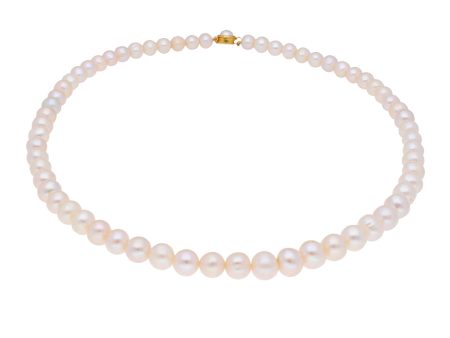 J Pearls Round Pearl Necklace - Real Pearl Jewelry Online