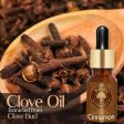 Old Tree Clove Bud Essential Oil Supply