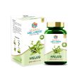 Search Wellness Hadjod Capsules Online now