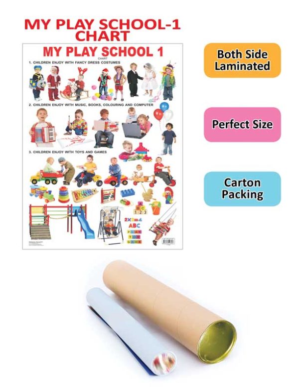 Dreamland Publications My Play School -1 : Children Early Learning Educational Laminated Chart Online Sale