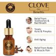 Old Tree Clove Bud Essential Oil Supply