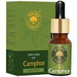 Old Tree Camphor Essential Oil Discount