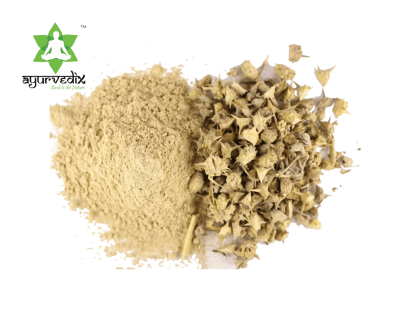 Ayurvedix Organic Gokshura Powder For Cheap