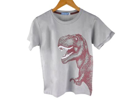 Kidscapade B Short Sleeves T-Shirt with Dinosaur Print - Gray Online Sale