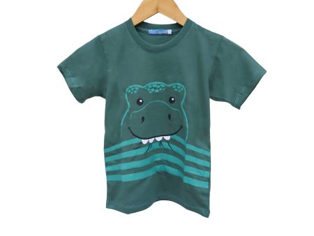 Kidscapade B Short Sleeves T-Shirt with Dinosaur Face Print - Bayleaf For Cheap